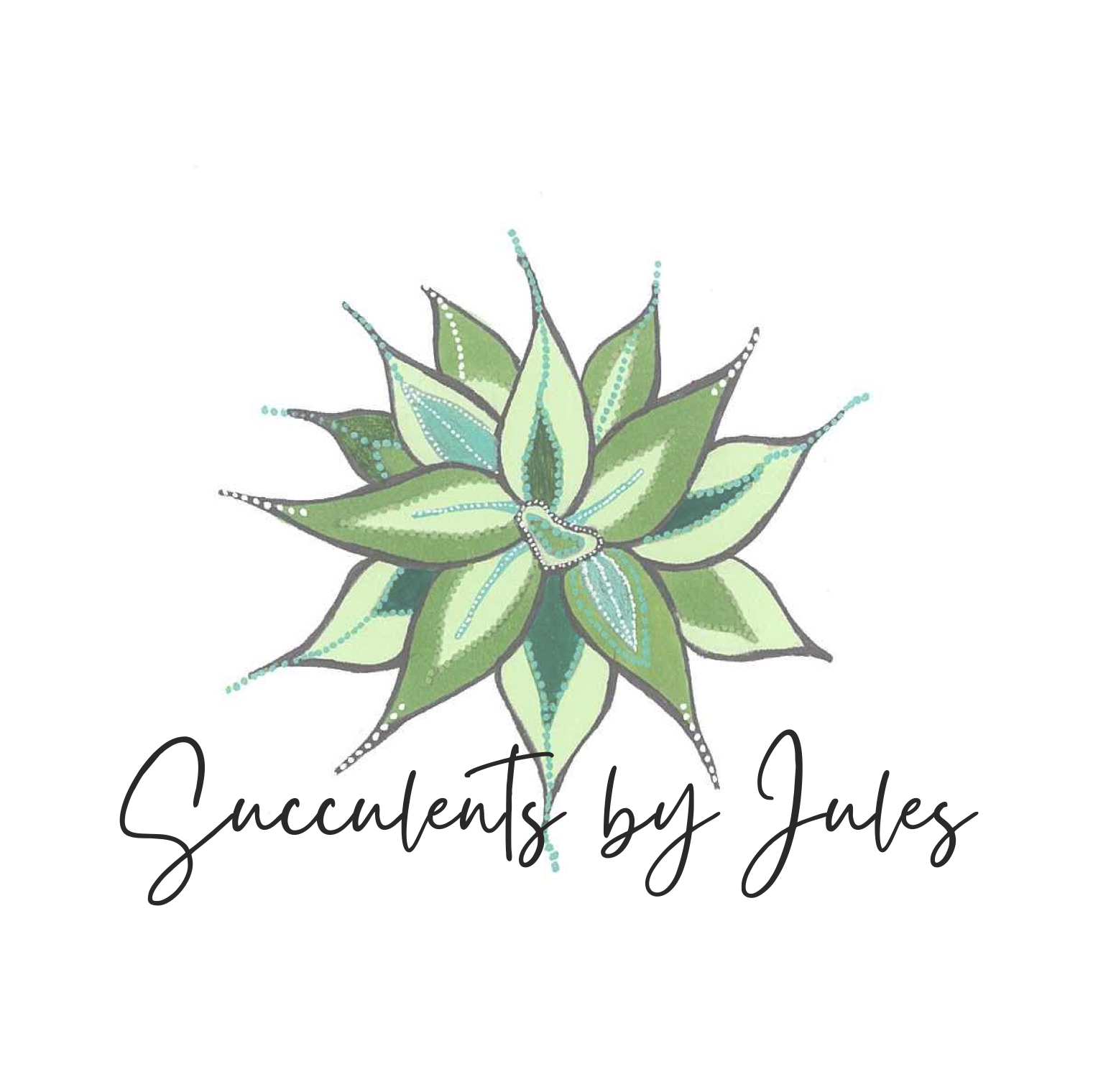 Succulents by JulesSucculents by Jules