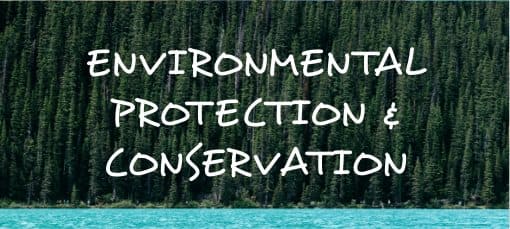 Environment Banner
